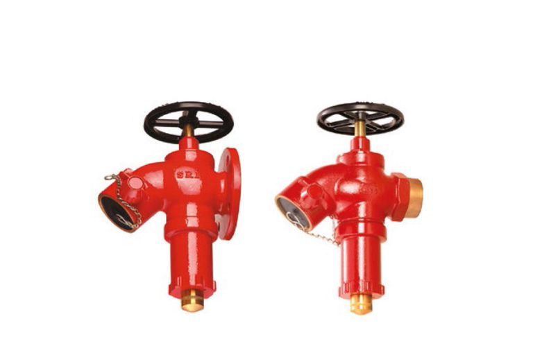 E-Type Landing Valve