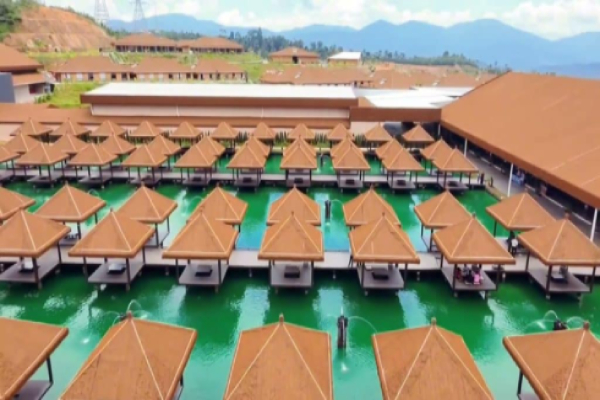 Monkey Canopy Resort